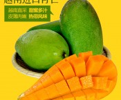 青芒果越南芒果 进口水果