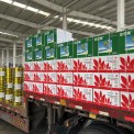 比它美中量元素水溶肥料